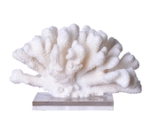 Medium Sponge White Coral Resin Sculpture , Unique Artificial Coral Decorations